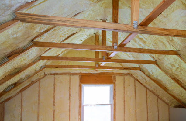 Best Commercial Insulation in Nocatee, FL