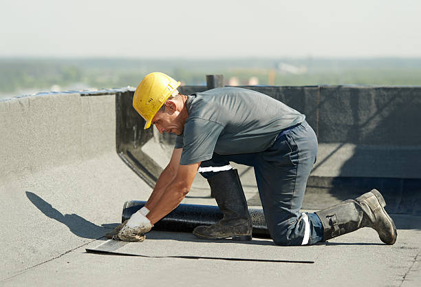 Best Specialty Insulation in Nocatee, FL